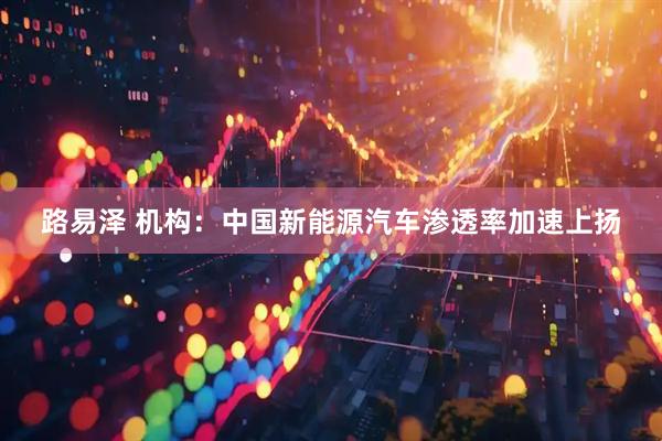 路易泽 机构:中国新能源汽车渗透率加速上扬