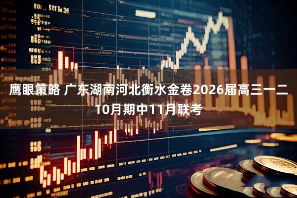 鹰眼策略 广东湖南河北衡水金卷2026届高三一二10月期中11月联考