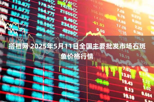 搭档网 2025年5月11日全国主要批发市场石斑鱼价格行情