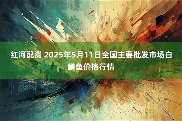 红河配资 2025年5月11日全国主要批发市场白鳝鱼价格行情