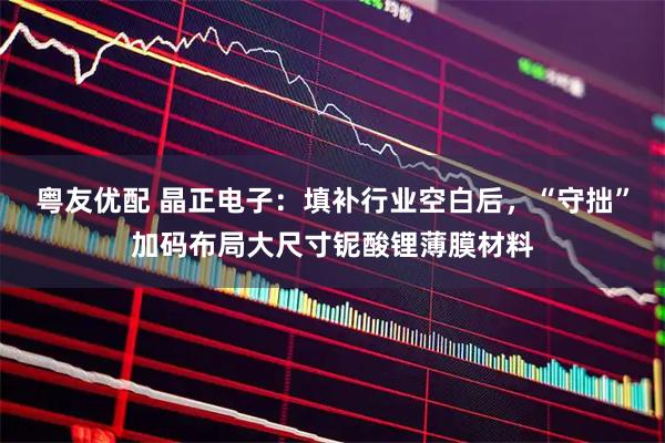 粤友优配 晶正电子:填补行业空白后,“守拙”加码布局大尺寸铌酸锂薄膜材料