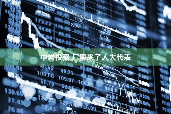 中岩投资 厂里来了人大代表